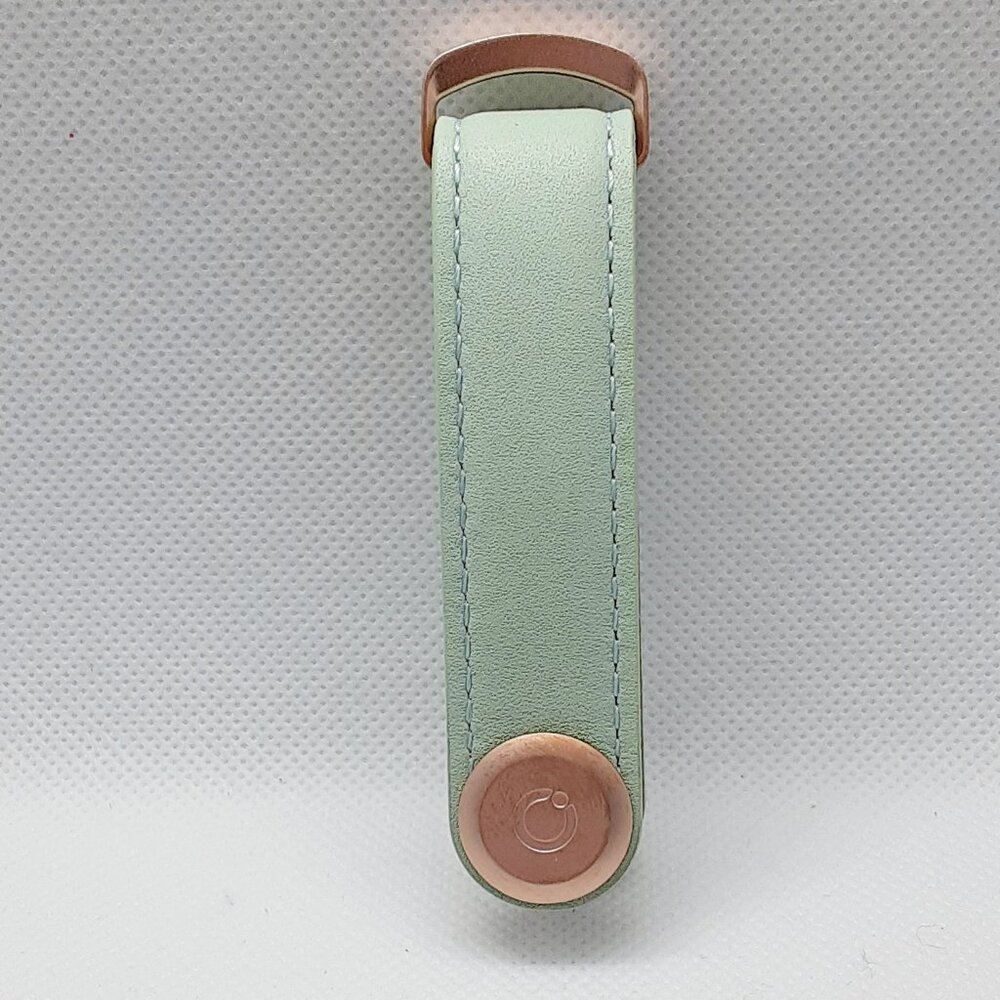 2026 Fall Color ...  2 HOSTS PICKED Mint green leather key holder - Picture 5 of 13